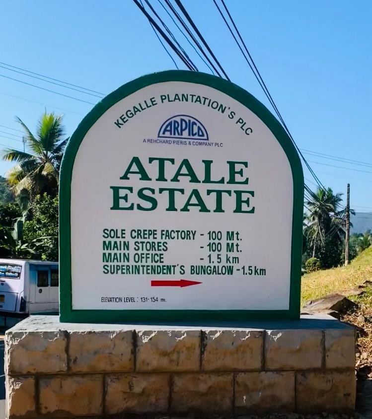 அட்டாலே எஸ்டேட்: இலங்கையின் மிகப்பெரிய ரப்பர்தோட்டத்தின் நூறாண்டு நிர்வகிப்பு மற்றும் நிலைத்தன்மை