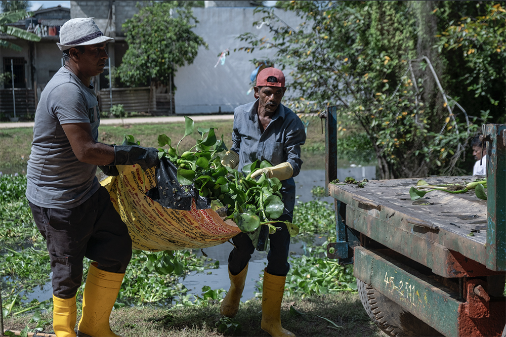 ஜப்பான் ஜபர (Water Hyacinth) ஊடாக வாழ்வாதார வாய்ப்புகளை உருவாக்கும் ‘Hyacinthesis’ ஊக்குவிப்புத் திட்டம் ஆரம்பம்