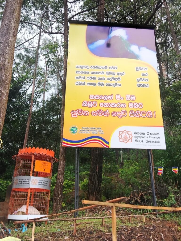 36e44b58 8998 44e0 a99f 09411951604f (1)