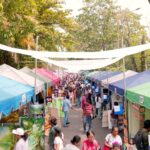 image 03 drone view of kala pola