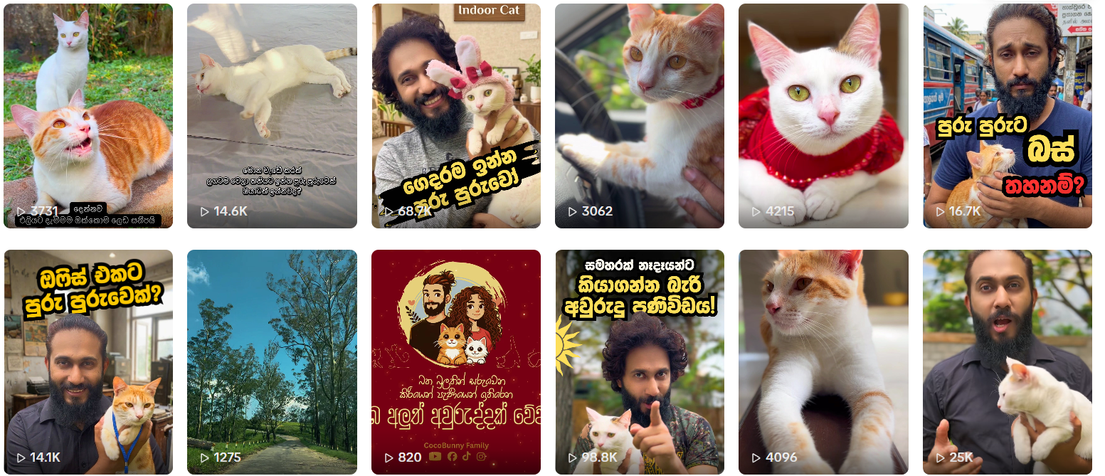 The “Purupuruwo” Taking Over TikTok …and Changing Hearts Along the Way