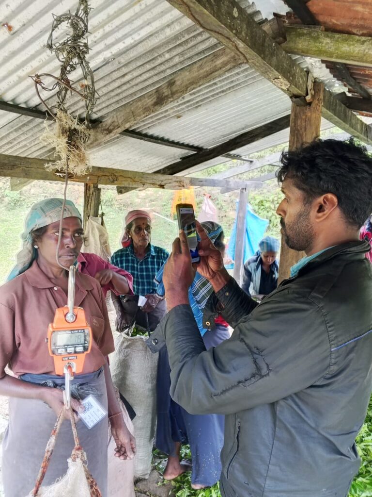 Agrithmics powers Goomera Estate digital transformation as landmark first for Sri Lanka’s State‑Owned plantations extra image 3
