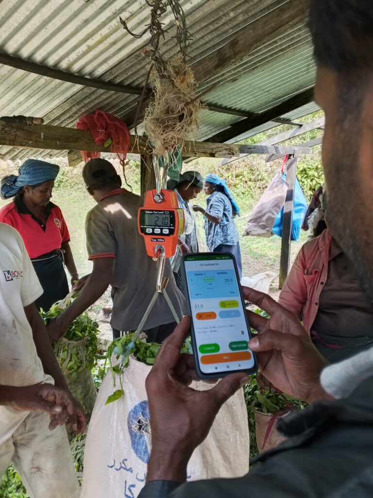 Agrithmics powers Goomera Estate digital transformation as landmark first for Sri Lanka’s State‑Owned plantations 0 3048x4064 0 0#