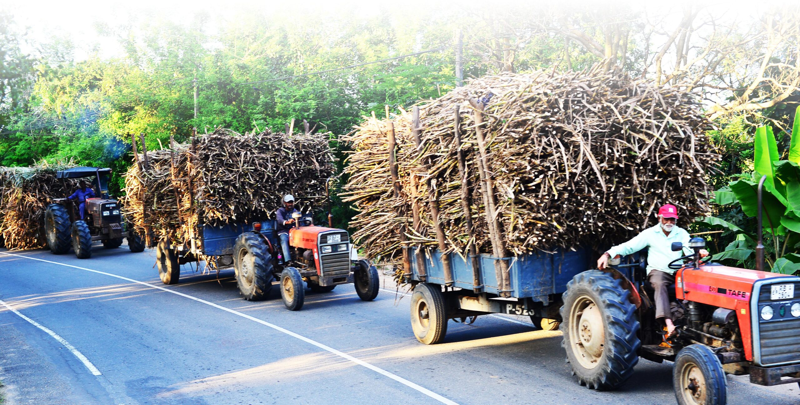 විශිෂ්ට රාජ්‍ය – පෞද්ගලික සබඳතාවක උරුමය තුලින් දැයේ දියුණුවට දිරි දෙන ගල්ඔය ප්ලාන්ටේෂන්